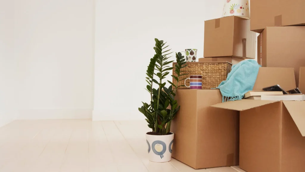 renta de camioneta para mover muebles Morelia